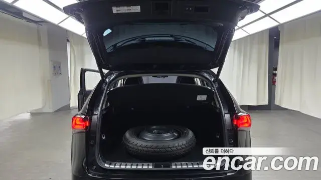 Lexus NX300h 2021 — Photo 16/20