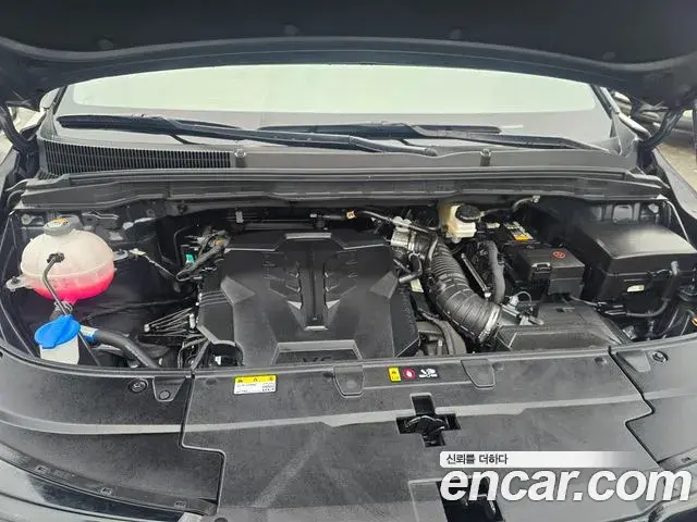 Kia Carnival 2024 — Şəkil 17/20
