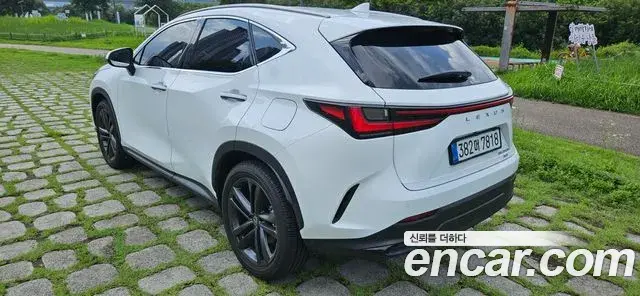 Lexus NX350h 2026 — Photo 3/20