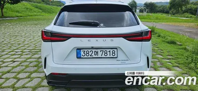 Lexus NX350h 2026 — Photo 4/20