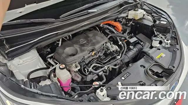 Toyota Sienna 2021 — Photo 6/20