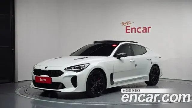 Kia Stinger Meister 2020 — ფოტო 6/34