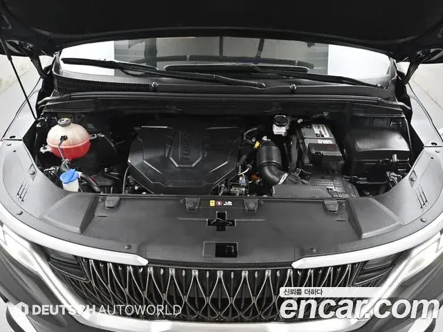 Kia Carnival 2021 — Photo 19/20