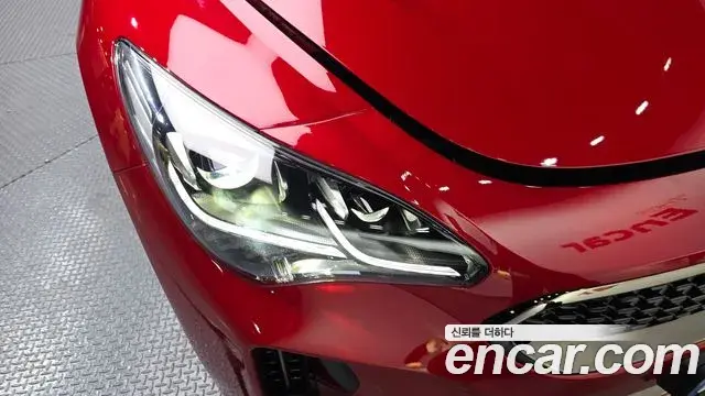 Kia Stinger Meister 2023 — ფოტო 9/35
