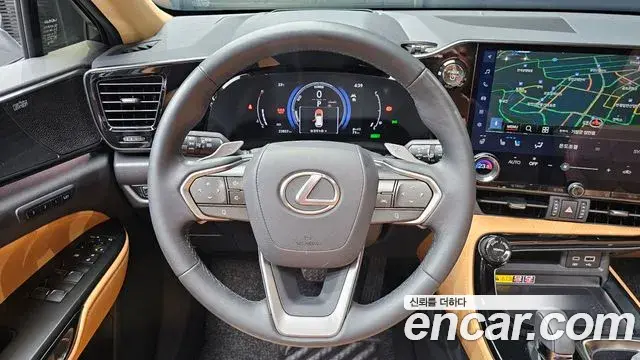 Lexus NX350h 2025 — ფოტო 19/20