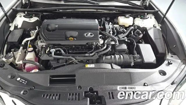 Lexus ES300h 2024 — Photo 6/20