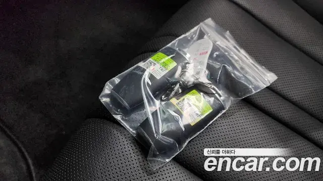 Genesis Electrified G80 2021 — Photo 19/20