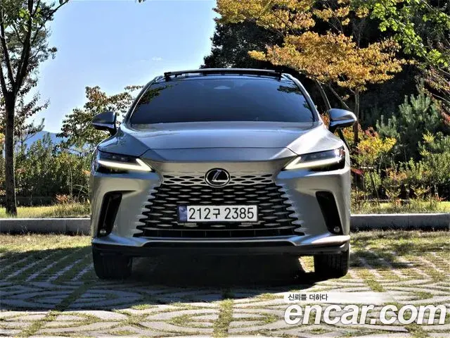 Lexus RX350h 2024 — Şəkil 2/20