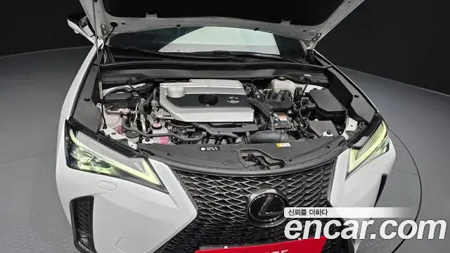Lexus UX250h 2023 — Şəkil 8/20