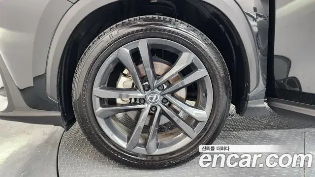 Lexus NX350h 2025 — Photo 5/20