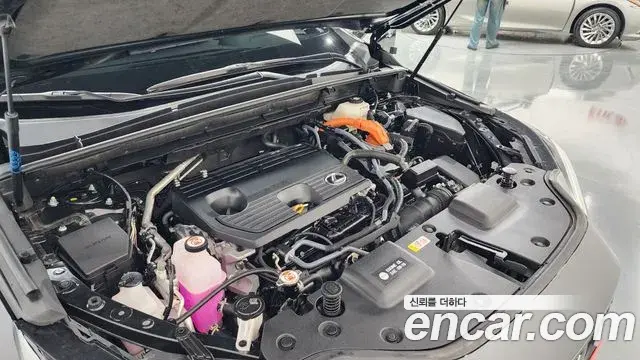 Lexus NX350h 2025 — Photo 6/20