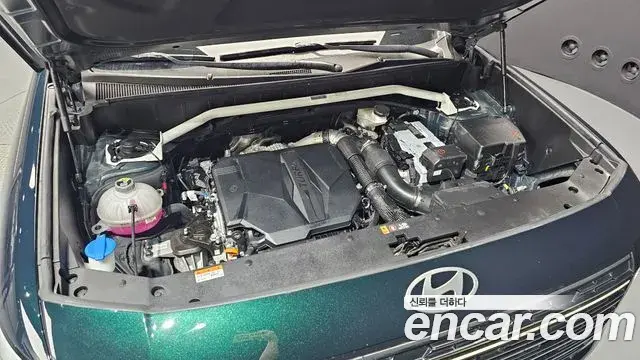 Hyundai Palisade 2025 — Photo 6/20
