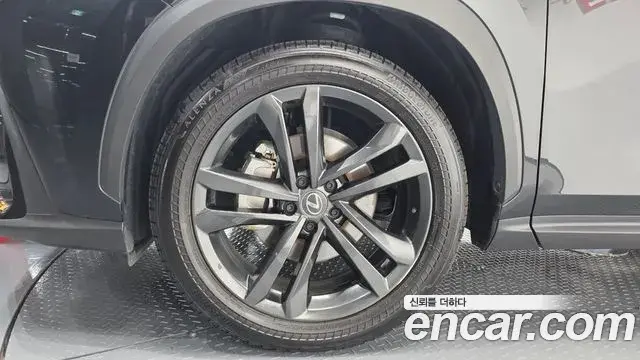 Lexus NX350h 2025 — Photo 5/20