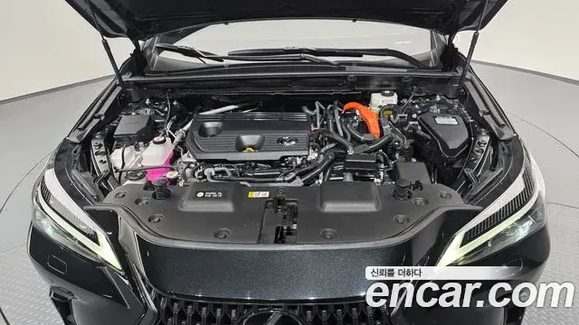 Lexus NX350h 2025 — Photo 6/20