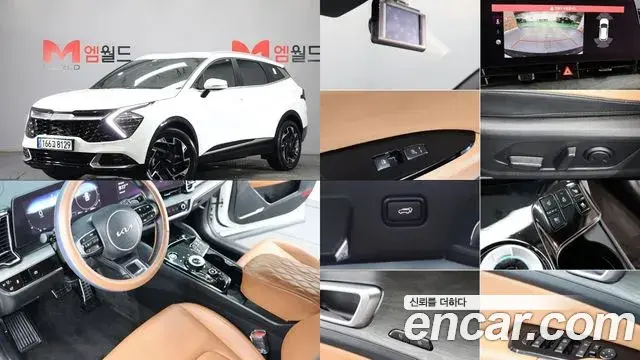 Kia Sportage 2024 — Фото 10/20