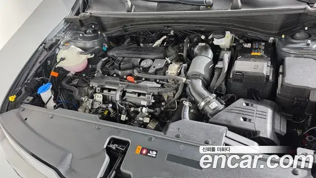 Kia Sportage 2025 — Photo 6/20