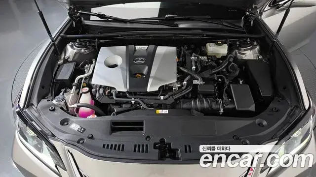 Lexus ES300h 2021 — Photo 6/20