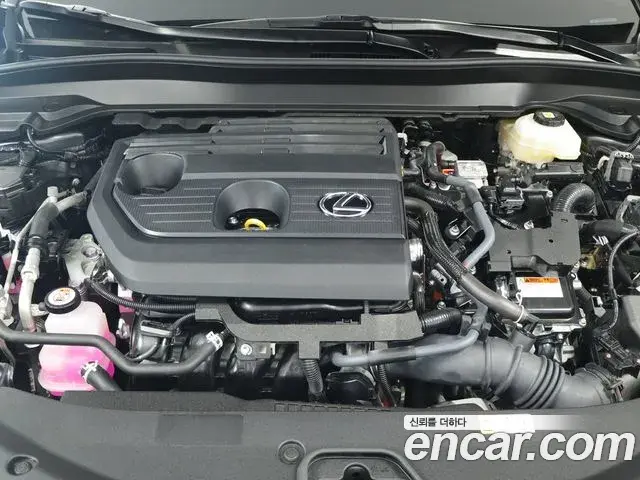 Lexus UX300h 2025 — Photo 3/16