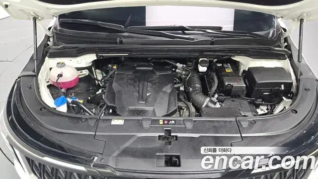 Kia Carnival 2024 — Photo 6/20