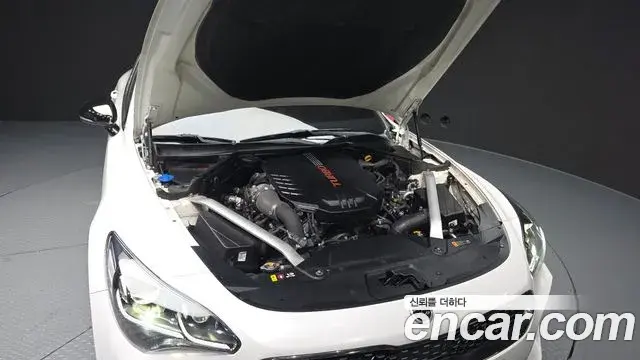 Kia Stinger 2019 — Photo 6/20