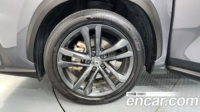 Lexus NX350h 2023 — Photo 5/20