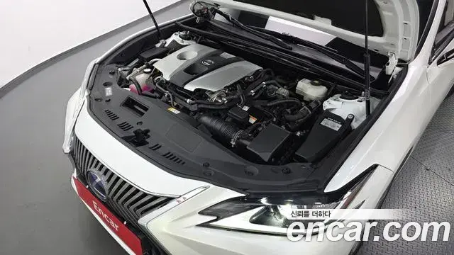 Lexus ES300h 2020 — ფოტო 18/20