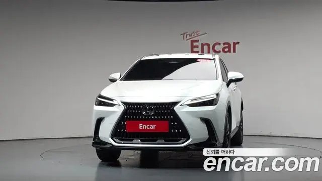 Lexus NX350h 2025 — Şəkil 12/36