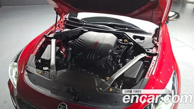 Kia Stinger 2019 — Photo 6/20