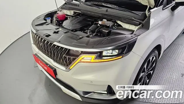 Kia Carnival 2020 — Фото 6/20