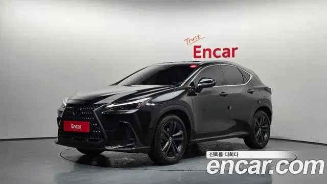 Lexus NX350h 2024 — Şəkil 9/20
