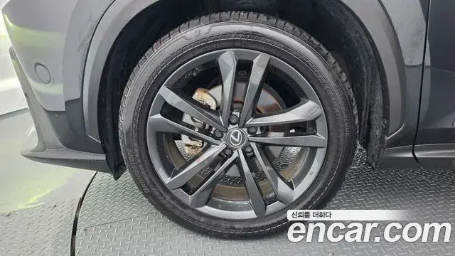 Lexus NX350h 2024 — Şəkil 4/20