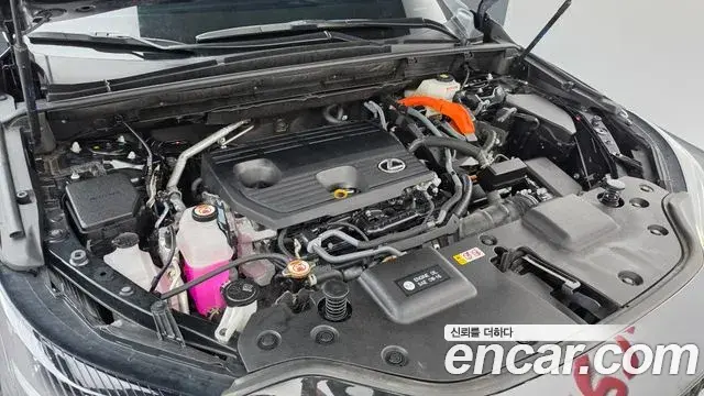 Lexus NX350h 2024 — Şəkil 5/20