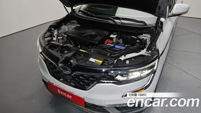 Renault Samsung QM6 2022 — Şəkil 6/20