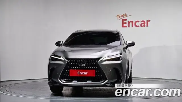 Lexus NX350h 2025 — Фото 3/20