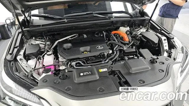 Lexus NX350h 2025 — Фото 6/20
