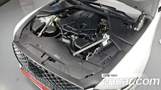 Genesis G80 2020 — Şəkil 14/34