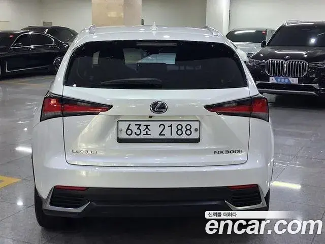 Lexus NX300h 2018 — Photo 3/20