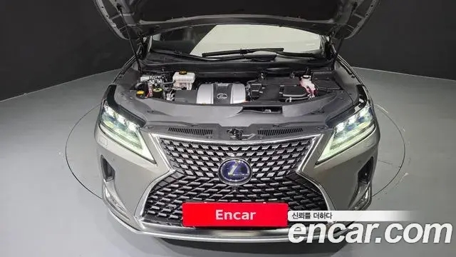 Lexus RX450h 2021 — ფოტო 6/20