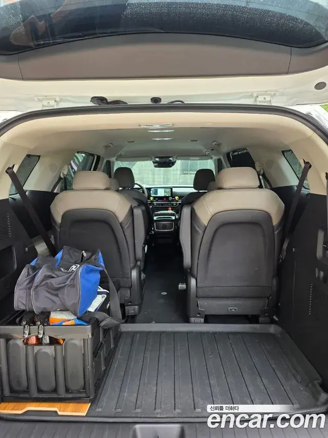 Kia Carnival 2025 — Фото 14/14
