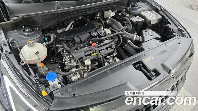 Kia Sportage 2025 — ფოტო 26/30