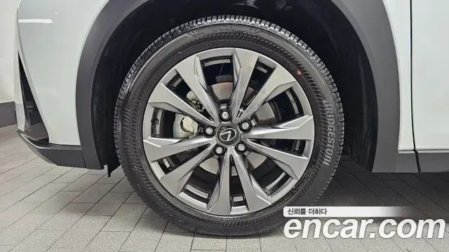 Lexus UX300h 2025 — Photo 5/20