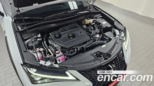 Lexus UX300h 2025 — Photo 6/20