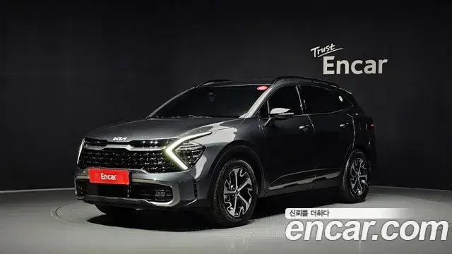 Kia Sportage, 2024