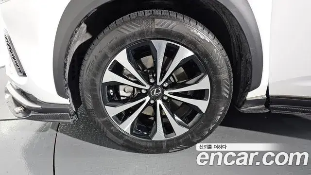 Lexus NX300 2020 — Photo 5/20
