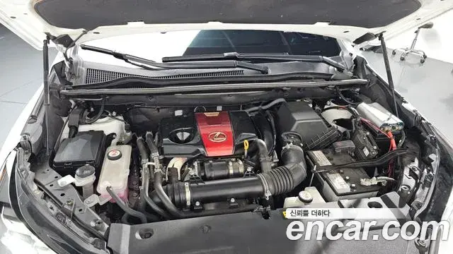 Lexus NX300 2020 — Photo 6/20