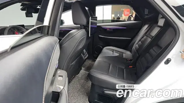Lexus NX300 2020 — Photo 12/20