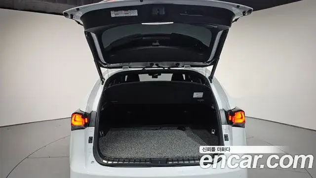 Lexus NX300 2020 — Photo 20/20
