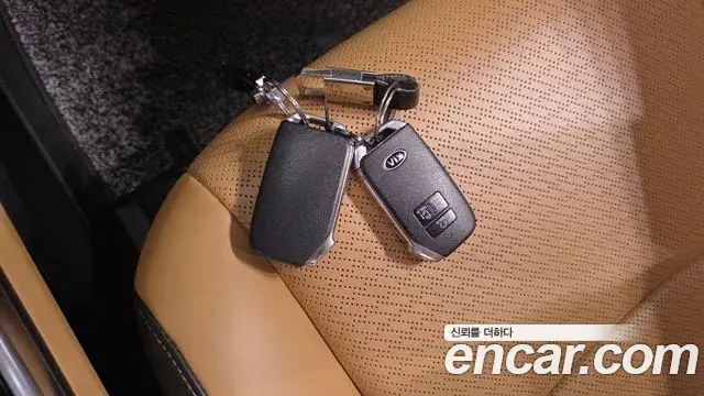 Kia Carnival 2020 — Photo 16/20
