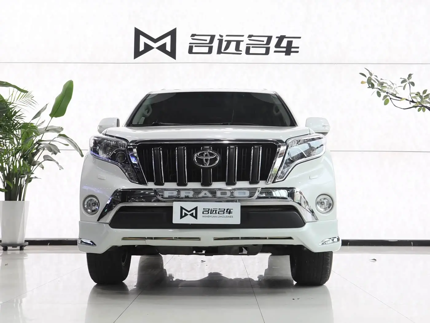 Toyota Prado 2013 — Фото 2/20