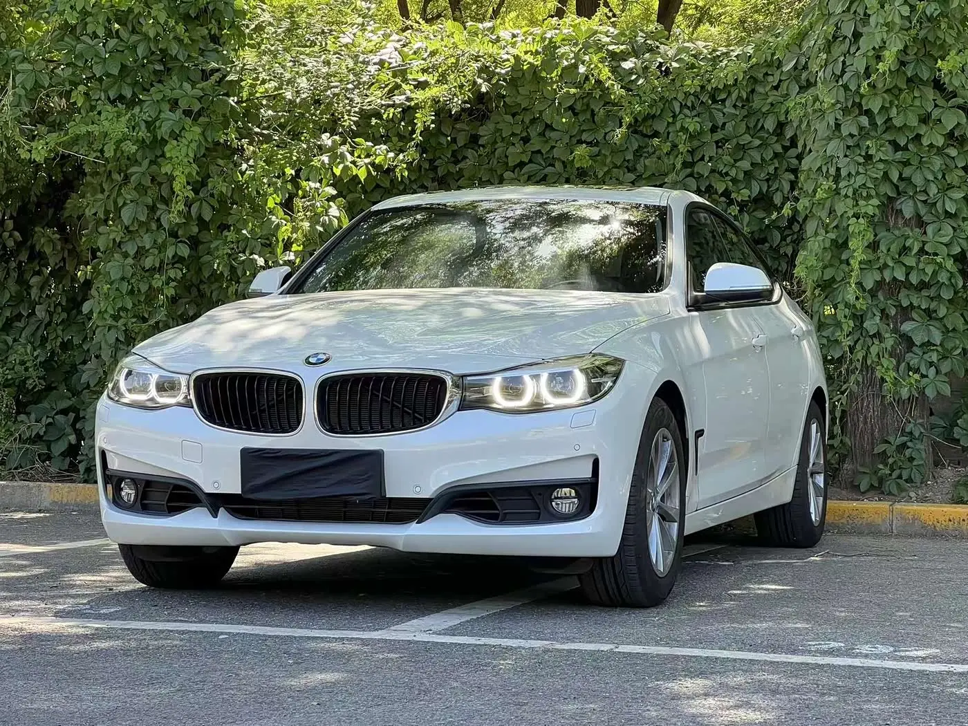 BMW 3 Series GT 2017 — Şəkil 1/18